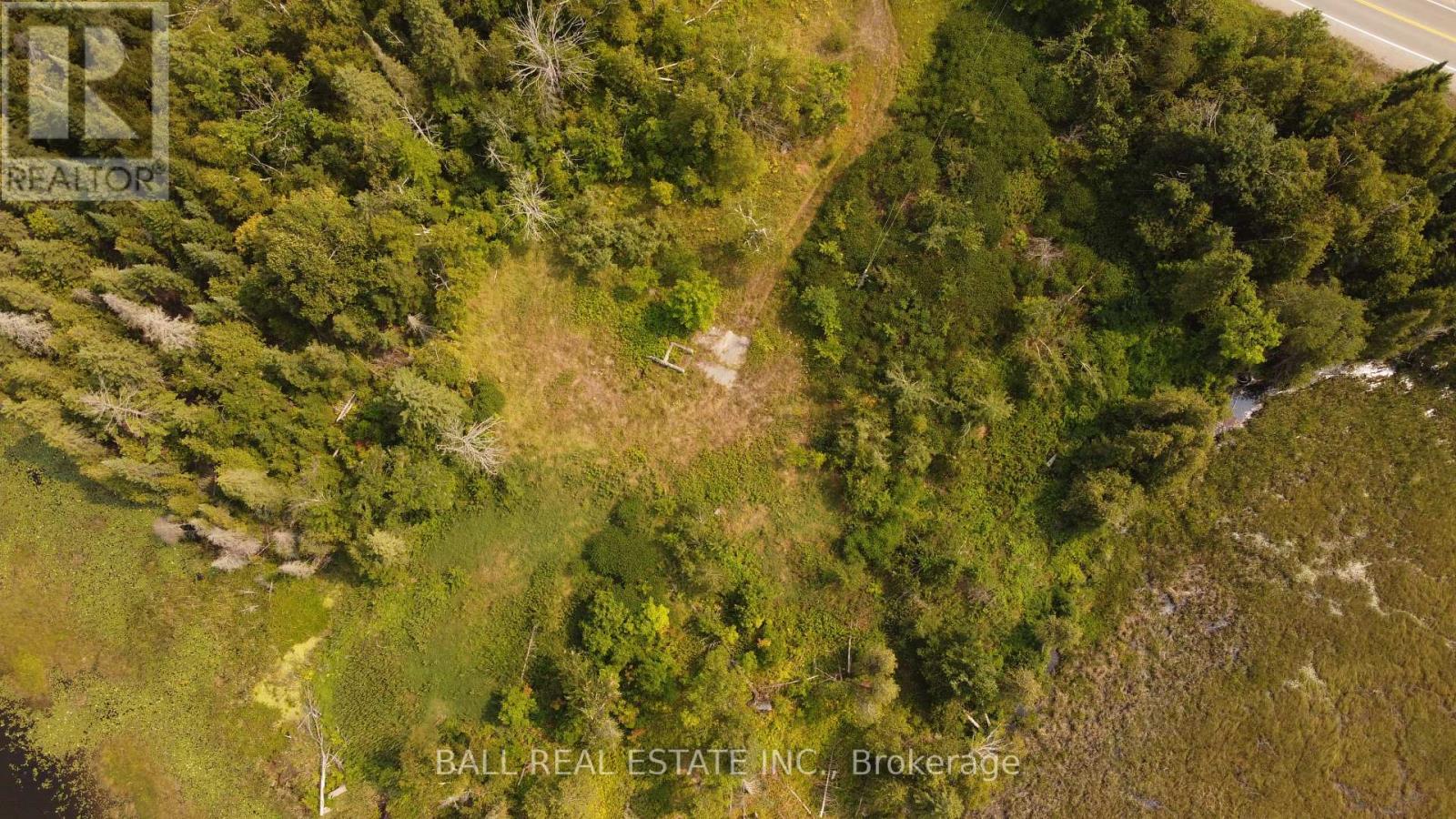 892 County Rd 40, Douro-Dummer, Ontario  K0L 2V0 - Photo 9 - X12328047