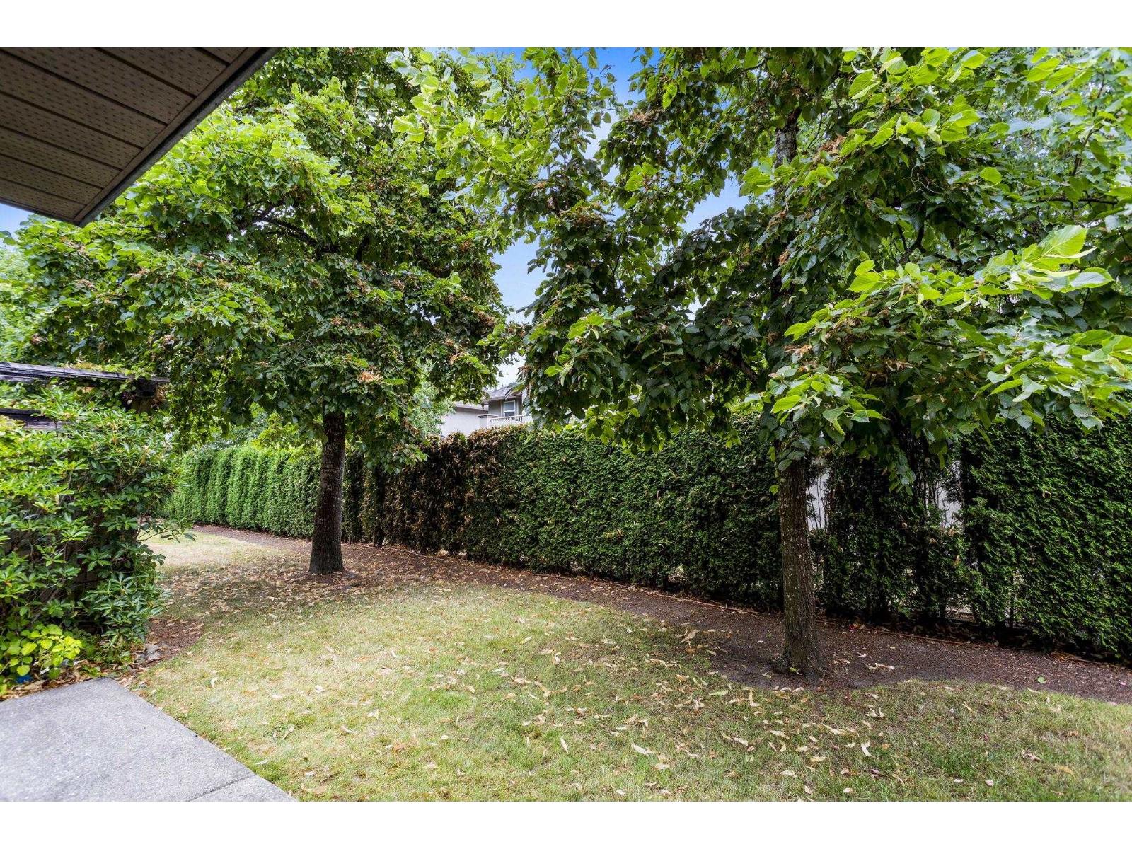 32 2525 Yale Court, Abbotsford, British Columbia  V2S 8G9 - Photo 40 - R3033627