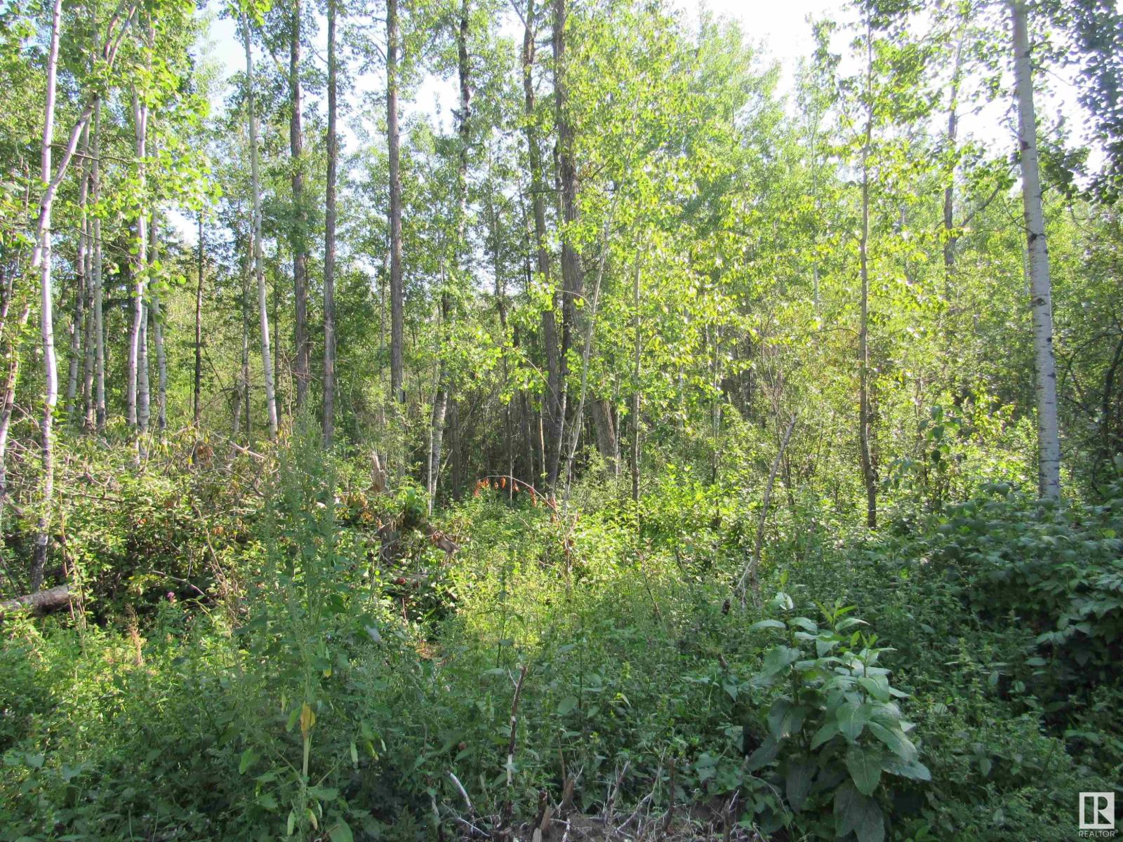 59316 Rge Rd 54 - Lot 61, Rural Barrhead County, Alberta  T7N 1N4 - Photo 10 - E4451444