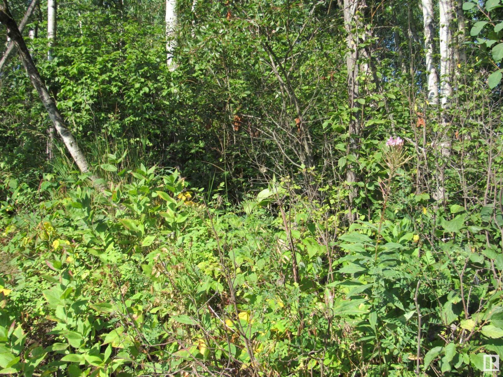 59316 Rge Rd 54 - Lot 61, Rural Barrhead County, Alberta  T7N 1N4 - Photo 11 - E4451444