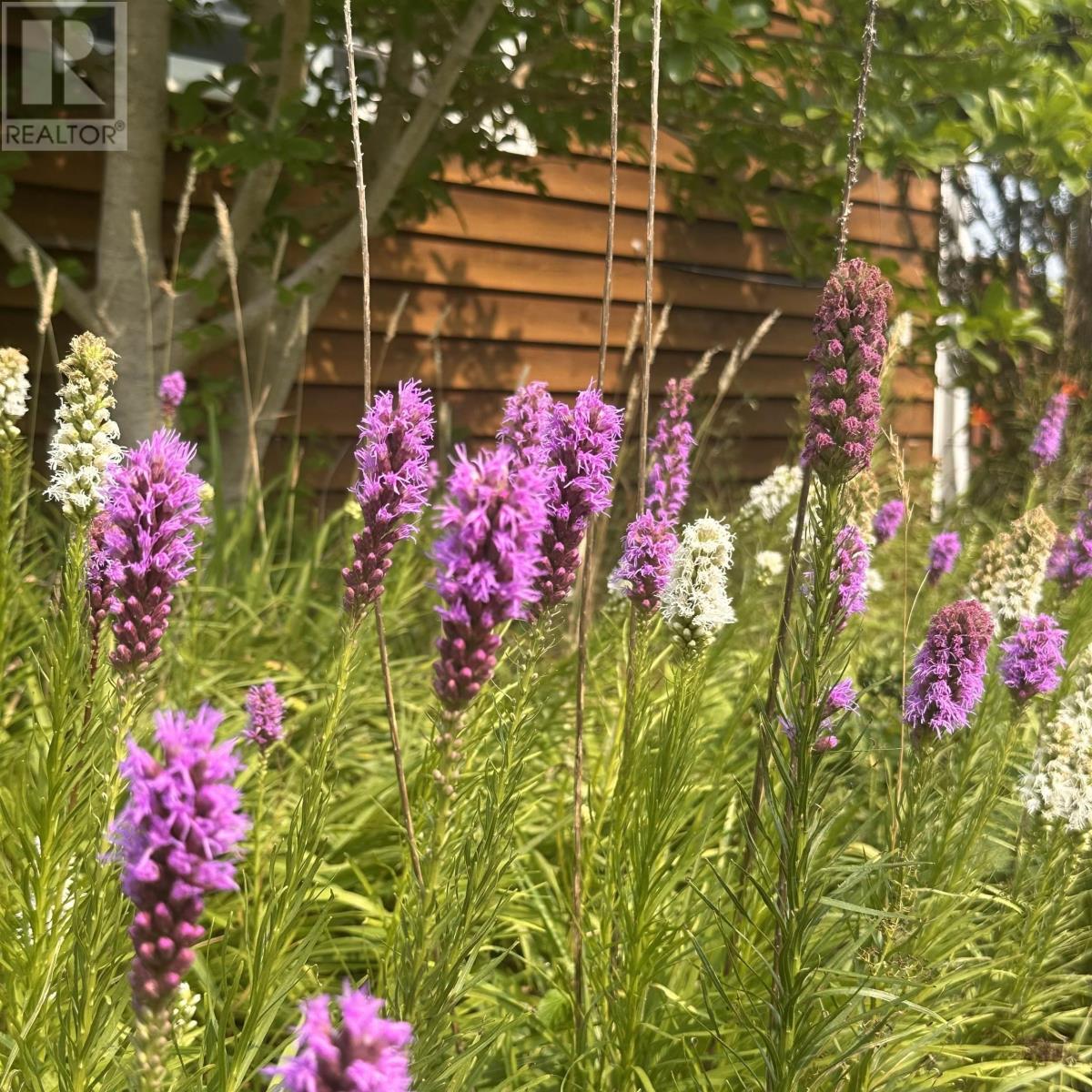 18 Fieldview Drive, Scarsdale, Nova Scotia  B0R 1A0 - Photo 44 - 202515260