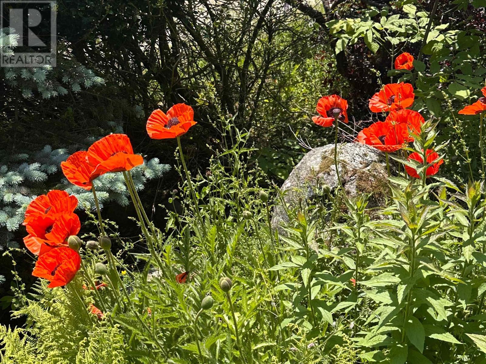 18 Fieldview Drive, Scarsdale, Nova Scotia  B0R 1A0 - Photo 45 - 202515260