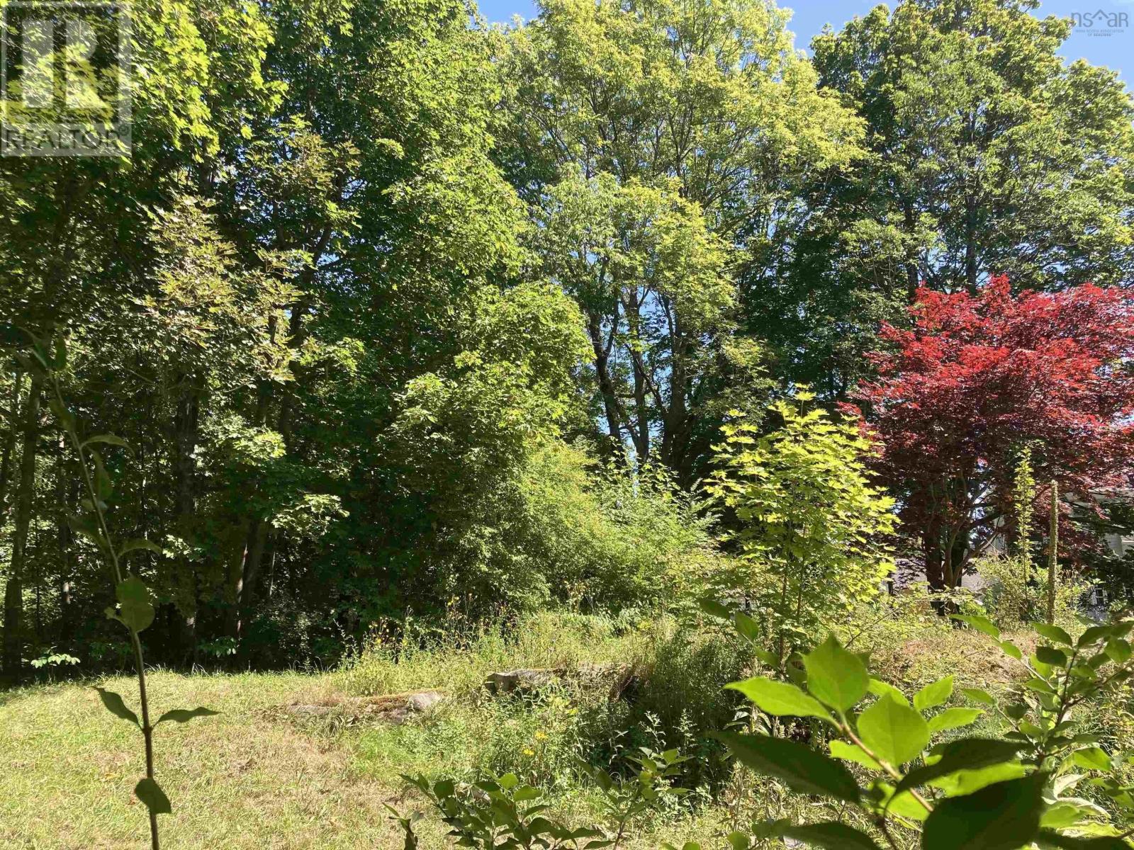 103 School Street, Liverpool, Nova Scotia  B0T 1K0 - Photo 8 - 202519839