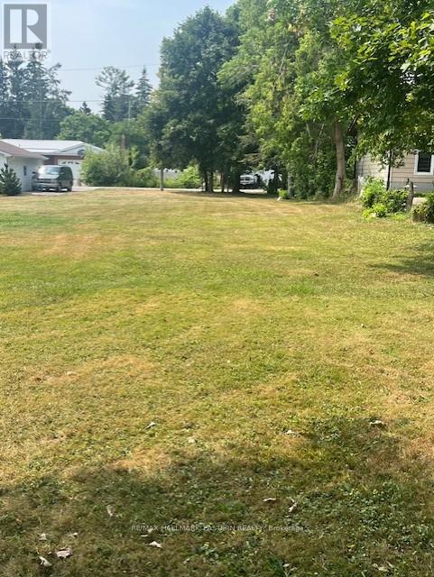 10 ALMA STREET N, Kawartha Lakes, Ontario