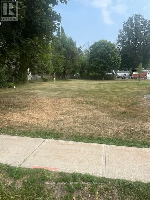 10 Alma Street N, Kawartha Lakes, Ontario  K0L 2W0 - Photo 3 - X12328635