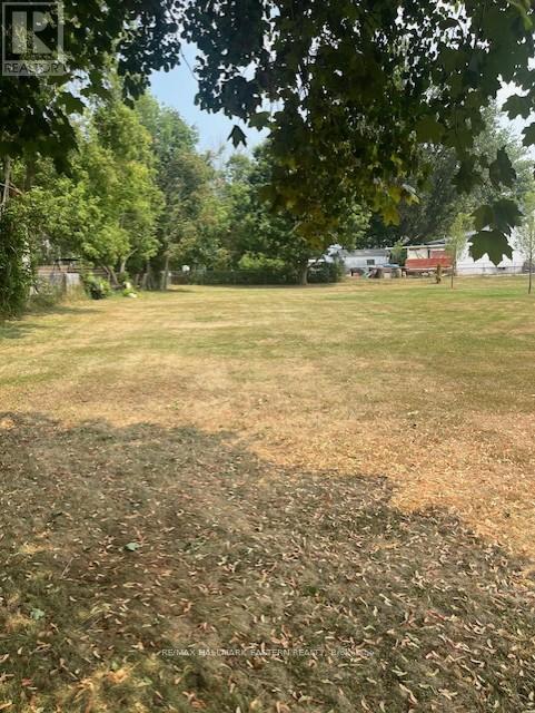 10 Alma Street N, Kawartha Lakes, Ontario  K0L 2W0 - Photo 5 - X12328635