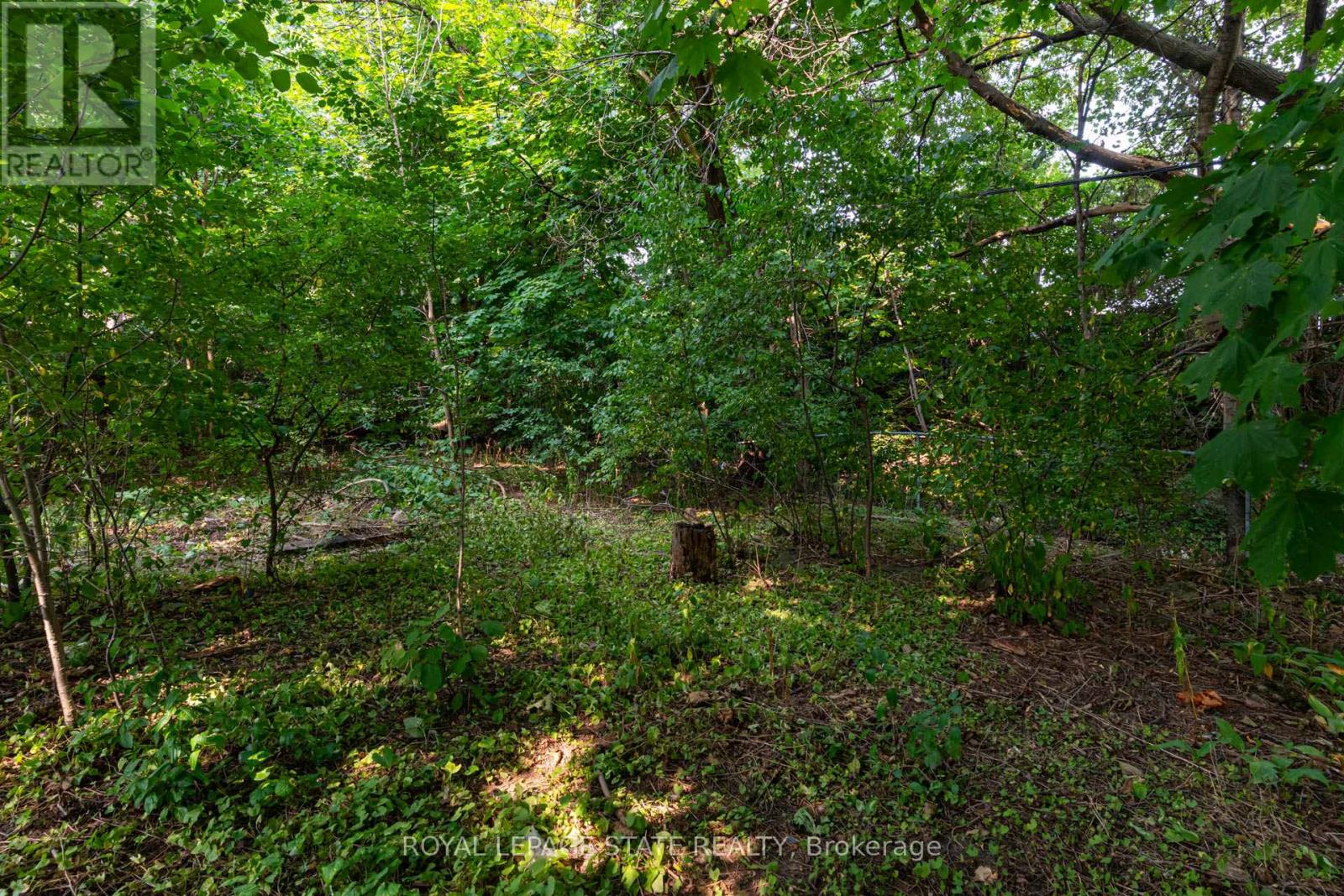 1191 Pinegrove Road, Oakville, Ontario  L6L 2W8 - Photo 41 - W12328720