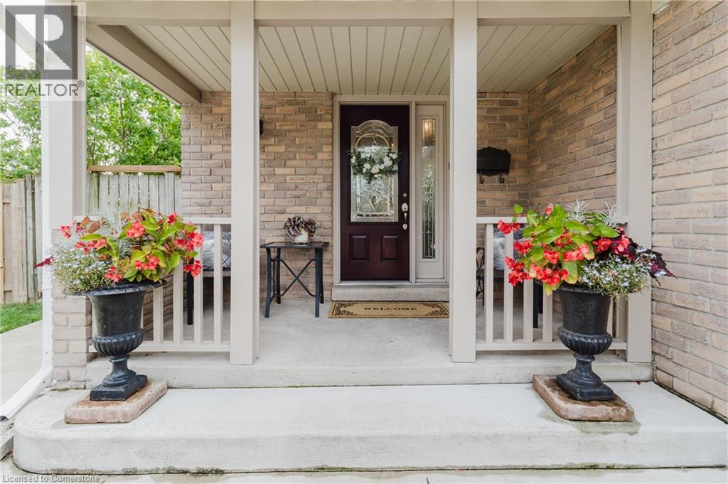 Property at 8 VIVA Court image 3