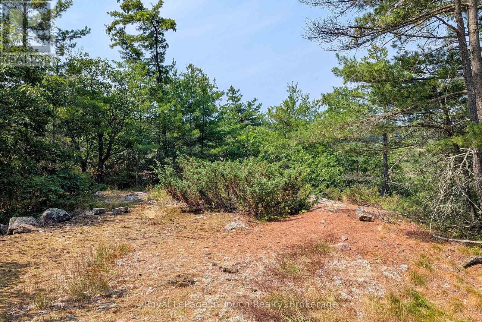 180 Prisque Road, Georgian Bay, Ontario  P0E 1E0 - Photo 12 - X12328955