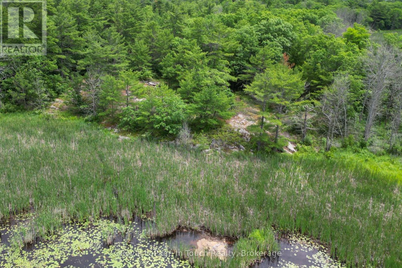 180 Prisque Road, Georgian Bay, Ontario  P0E 1E0 - Photo 8 - X12328955