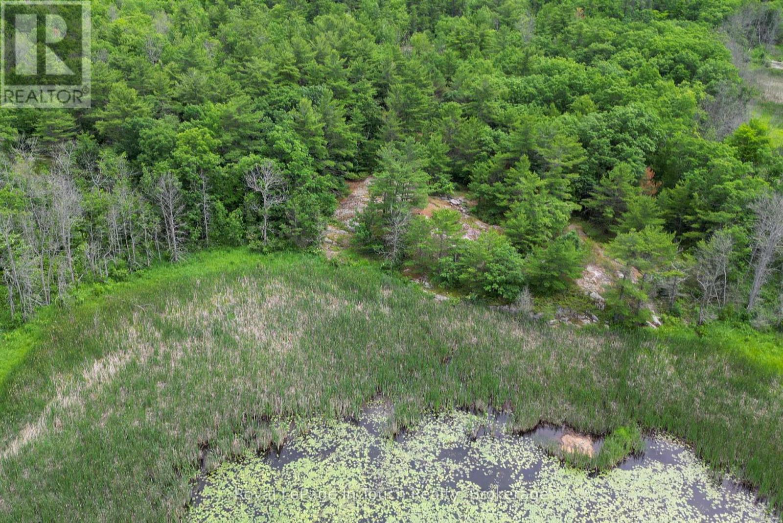 180 Prisque Road, Georgian Bay, Ontario  P0E 1E0 - Photo 9 - X12328955