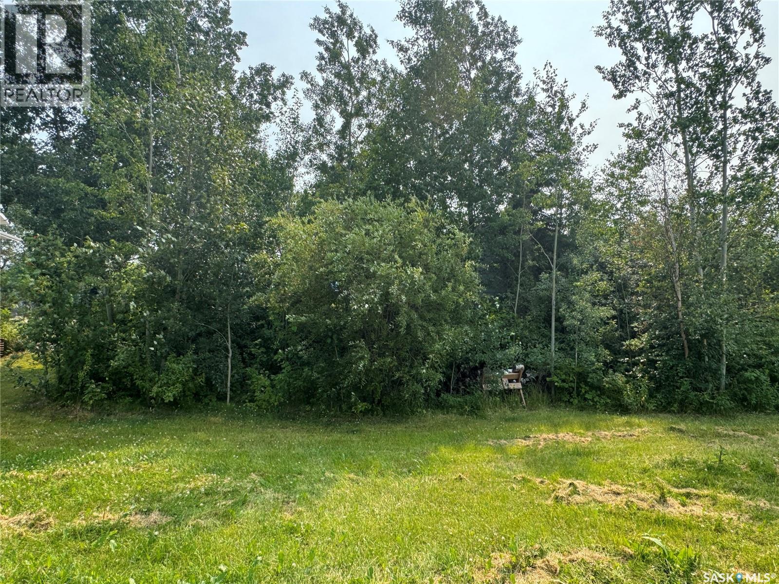 1635 Bay Avenue N, La Ronge, Saskatchewan  S0J 1L0 - Photo 4 - SK014684