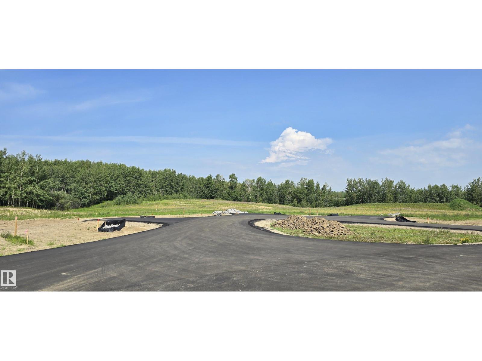 #15 54102 Range Road 274, Rural Parkland County, Alberta  T7X 3S4 - Photo 10 - E4451543