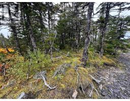 65B Connors Cove Road, Brigus Junction, Newfoundland & Labrador