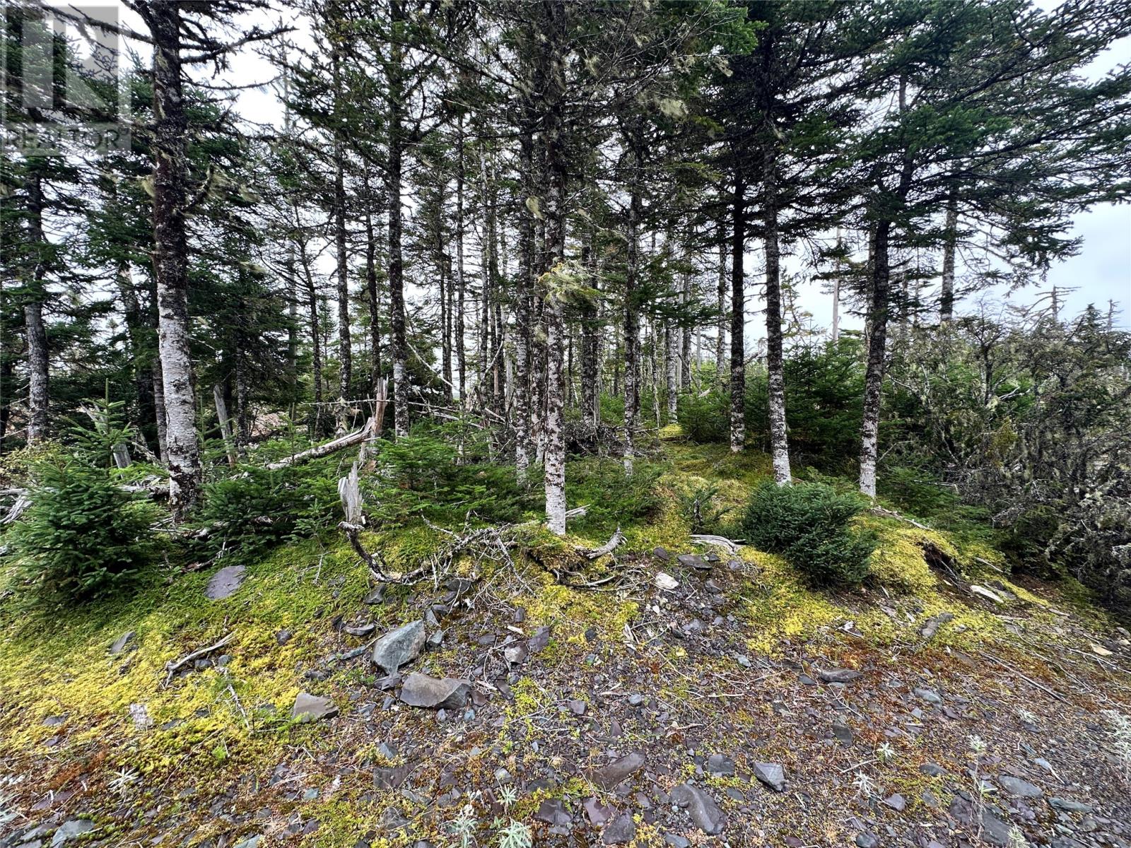 65b Connors Cove Road, Brigus Junction, Newfoundland & Labrador  A0B 1G0 - Photo 2 - 1288734
