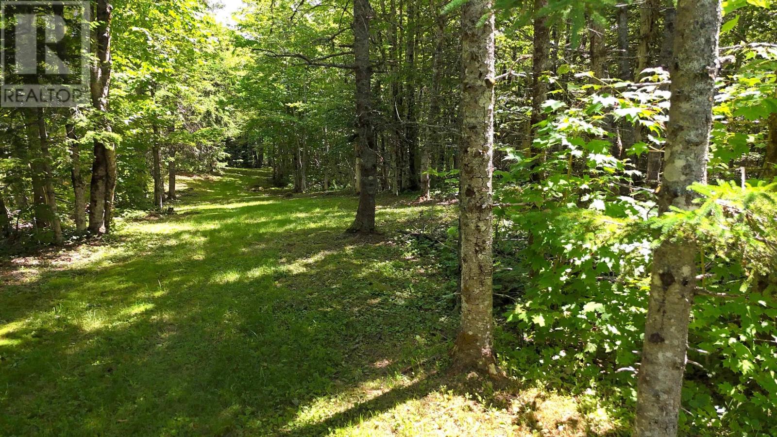 811 River Denys Mountain Road, Glendale, Nova Scotia  B0E 2Y0 - Photo 20 - 202517472