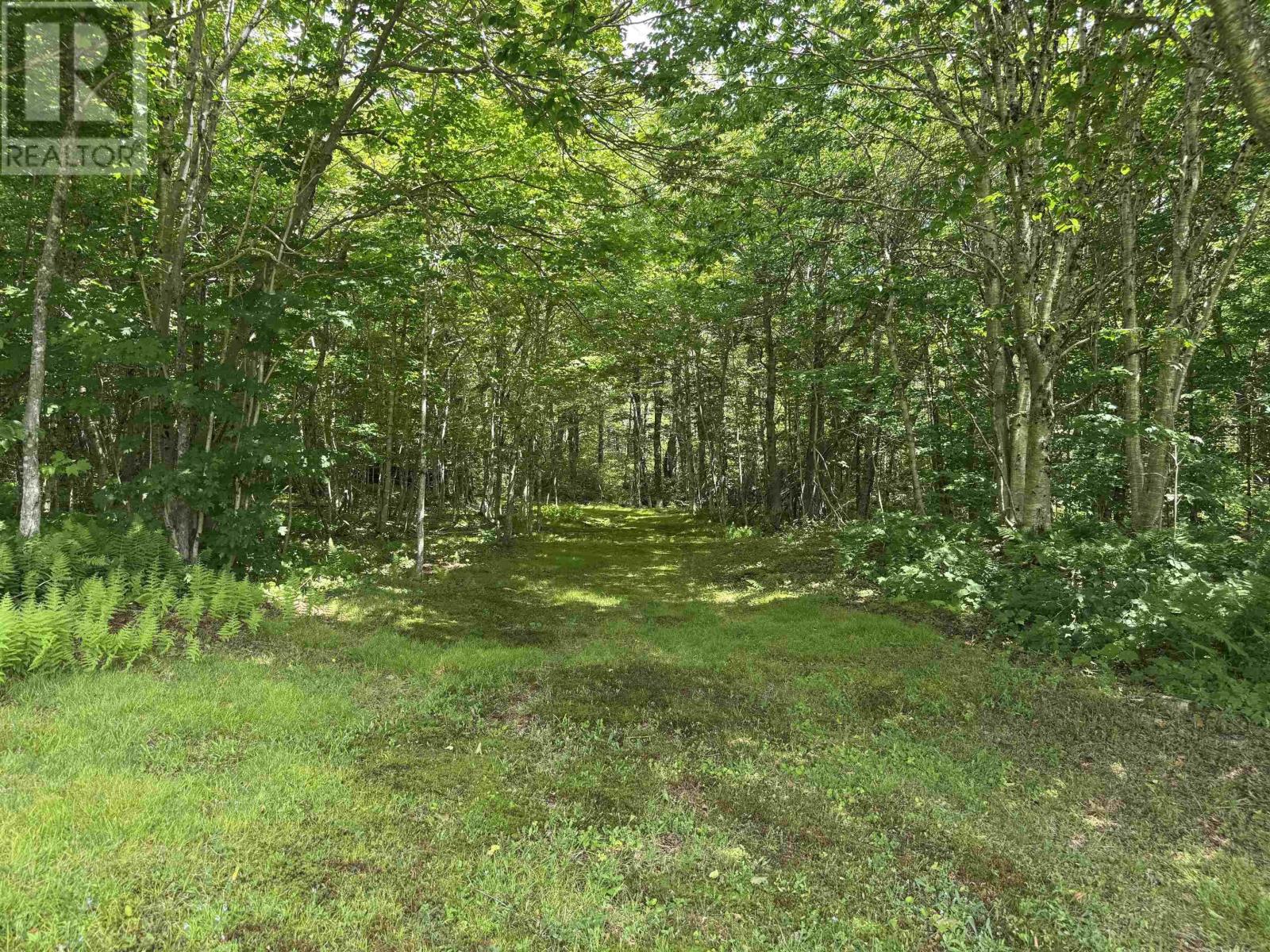 811 River Denys Mountain Road, Glendale, Nova Scotia  B0E 2Y0 - Photo 21 - 202517472