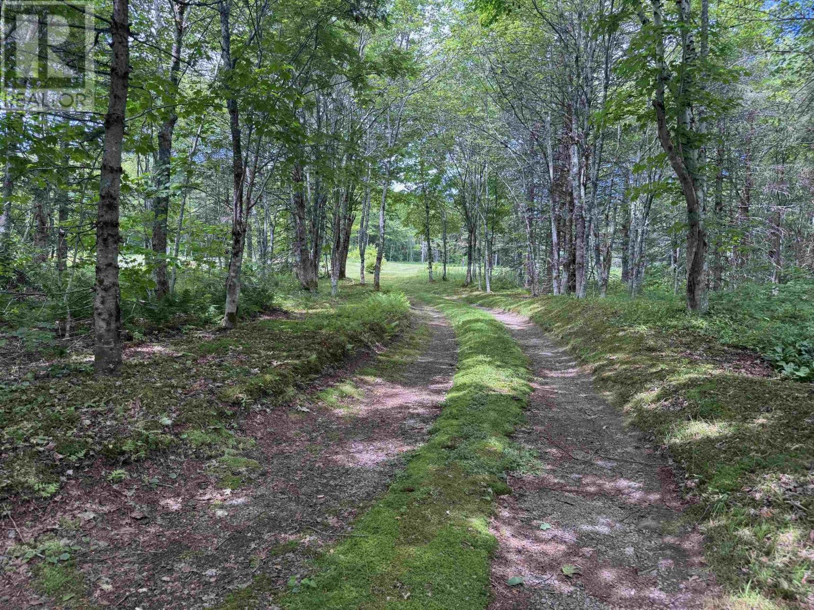 811 River Denys Mountain Road, Glendale, Nova Scotia  B0E 2Y0 - Photo 40 - 202517472