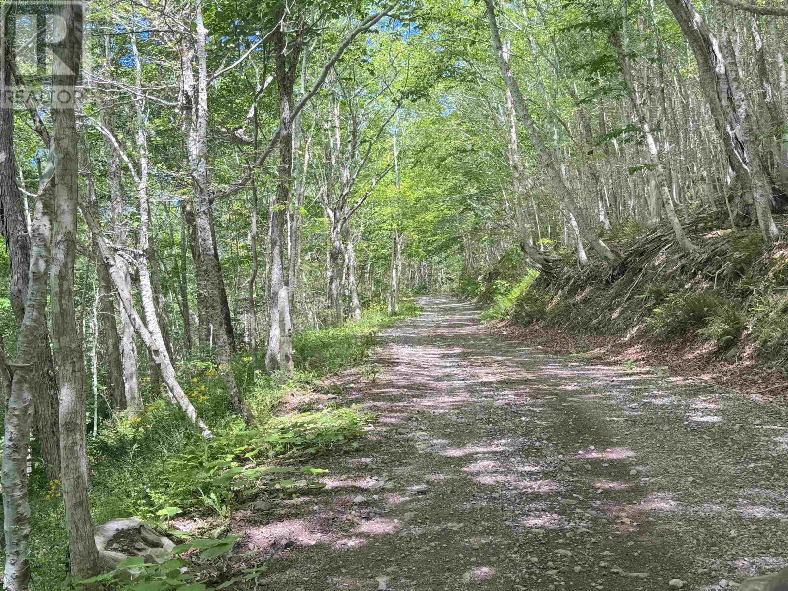 811 River Denys Mountain Road, Glendale, Nova Scotia  B0E 2Y0 - Photo 41 - 202517472