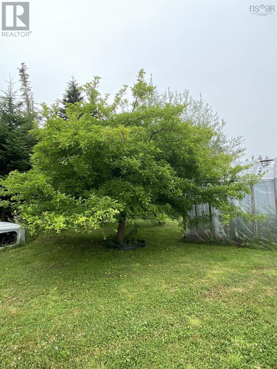 997 Argyle Sound Road, Argyle Sound, Nova Scotia  B0W 2W0 - Photo 33 - 202500896