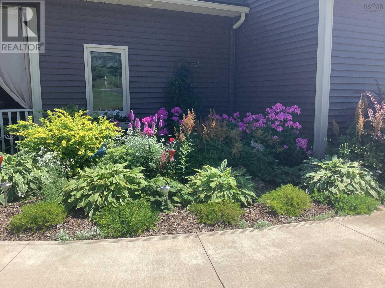 2162 Hwy 376, Lyons Brook, Nova Scotia  B0K 1H0 - Photo 10 - 202511526