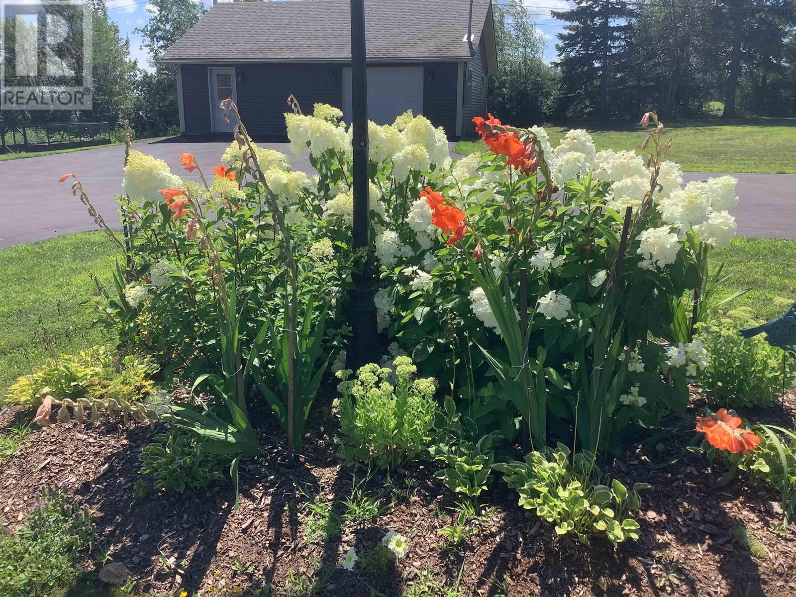 2162 Hwy 376, Lyons Brook, Nova Scotia  B0K 1H0 - Photo 13 - 202511526
