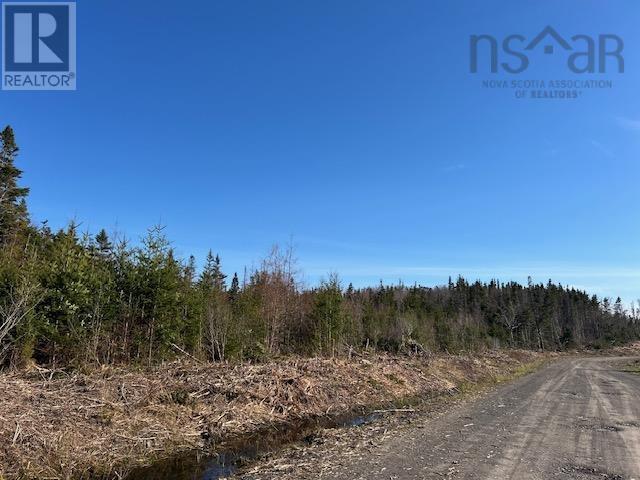 Salmon River Road, Salmon River, Nova Scotia  B0E 3B0 - Photo 5 - 202510791