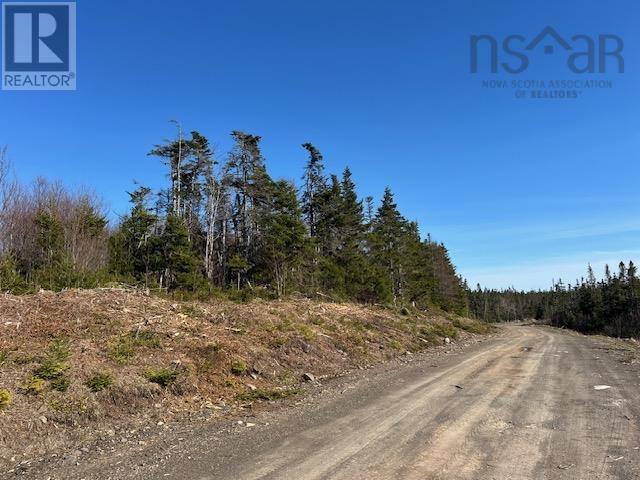 Salmon River Road, Salmon River, Nova Scotia  B0E 3B0 - Photo 6 - 202510791