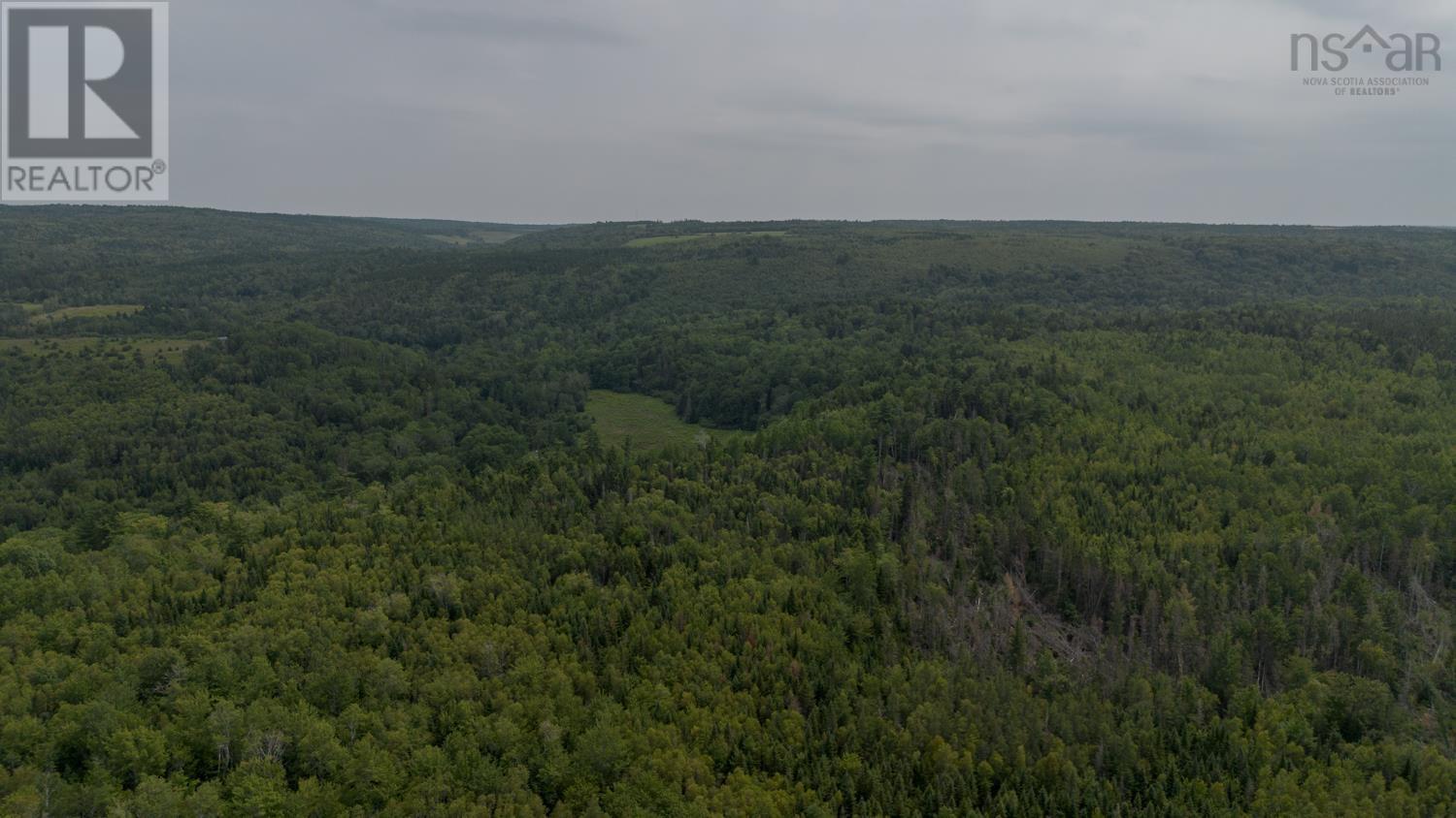 1332 Meadowvale Road, Meadowvale, Nova Scotia  B0N 2P0 - Photo 38 - 202514771