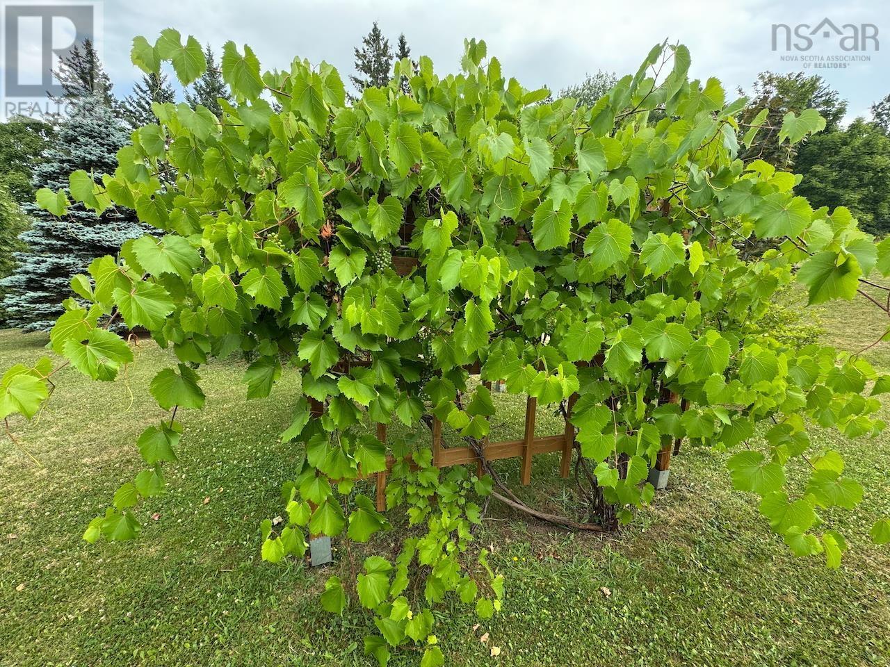 1332 Meadowvale Road, Meadowvale, Nova Scotia  B0N 2P0 - Photo 27 - 202514771