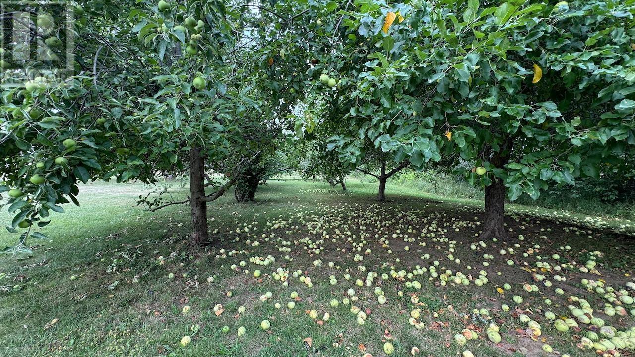 1332 Meadowvale Road, Meadowvale, Nova Scotia  B0N 2P0 - Photo 48 - 202514771