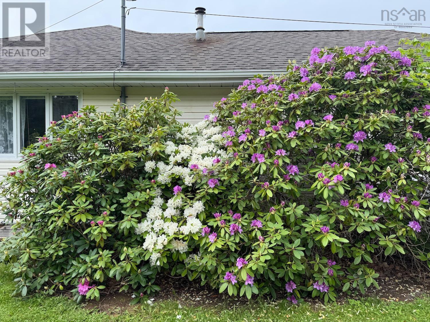 1332 Meadowvale Road, Meadowvale, Nova Scotia  B0N 2P0 - Photo 34 - 202514771