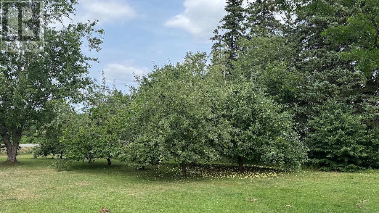 1332 Meadowvale Road, Meadowvale, Nova Scotia  B0N 2P0 - Photo 49 - 202514771