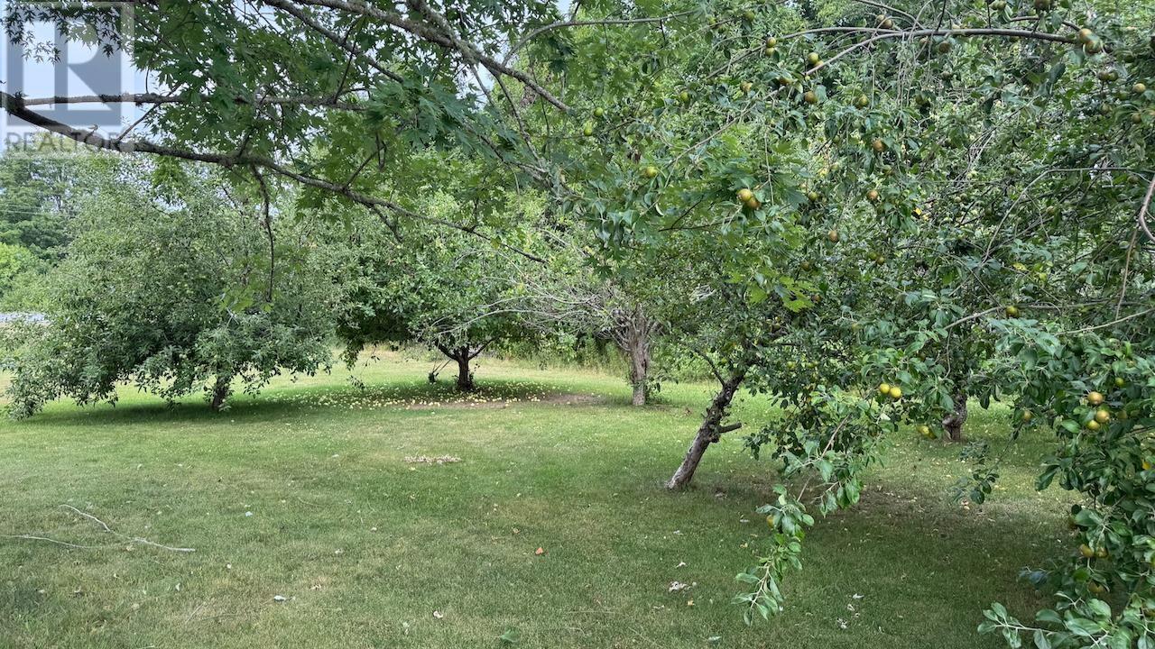 1332 Meadowvale Road, Meadowvale, Nova Scotia  B0N 2P0 - Photo 5 - 202514771