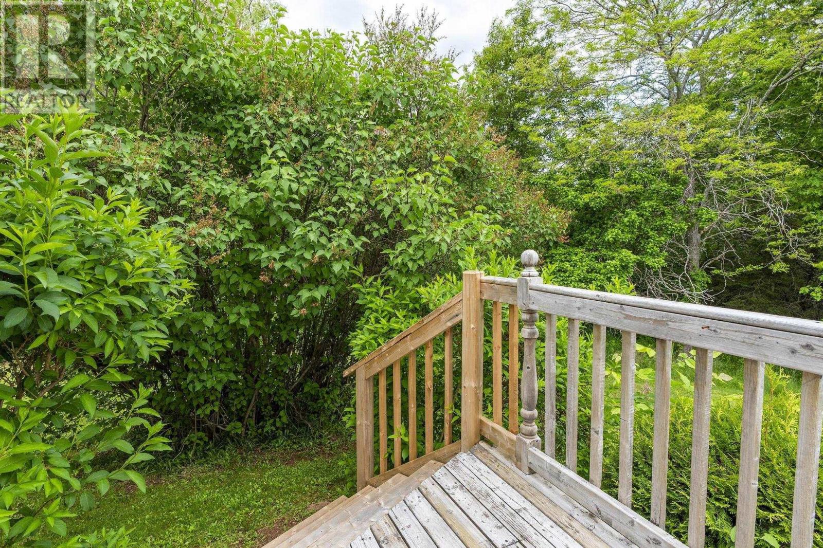 1407 North Shore Rd, North Shore, Nova Scotia  B0K 1E0 - Photo 6 - 202515398