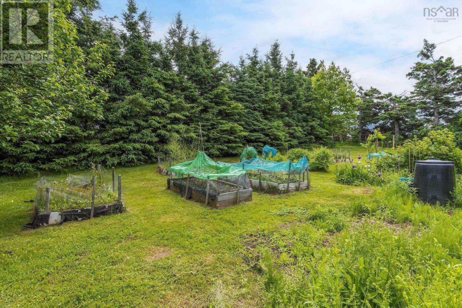 1407 North Shore Rd, North Shore, Nova Scotia  B0K 1E0 - Photo 8 - 202515398