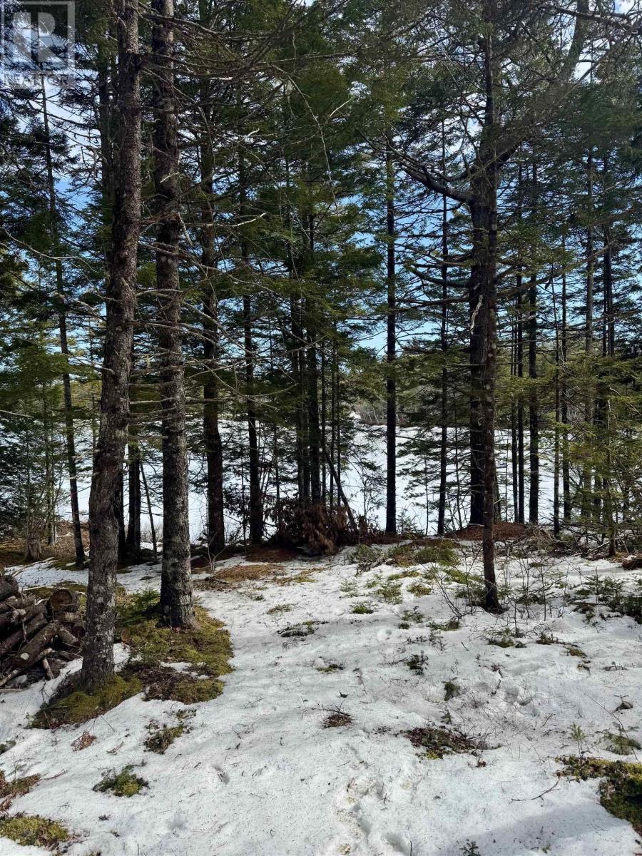 Lot 12 Island View Drive, Middlewood, Nova Scotia  B4V 6J2 - Photo 5 - 202504143