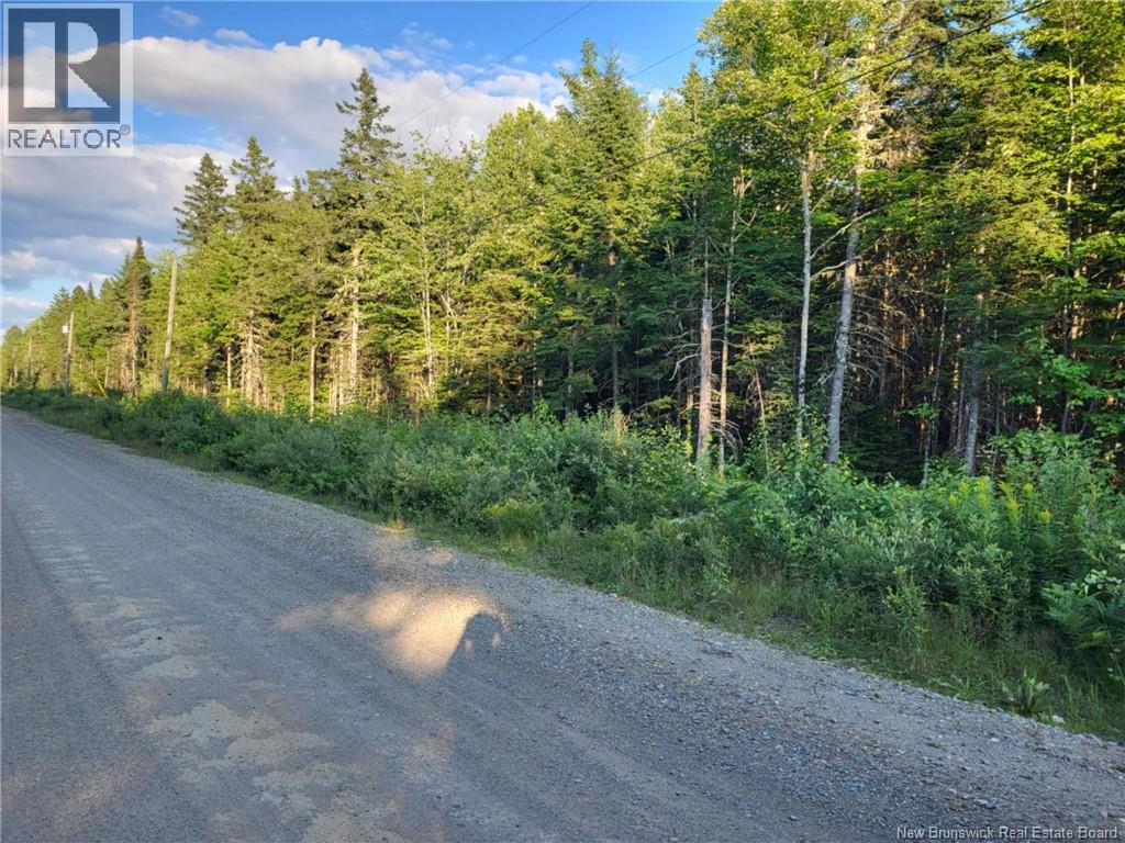 Lot K Zionville Road, Taymouth, New Brunswick  E6C 1Z5 - Photo 2 - NB124393