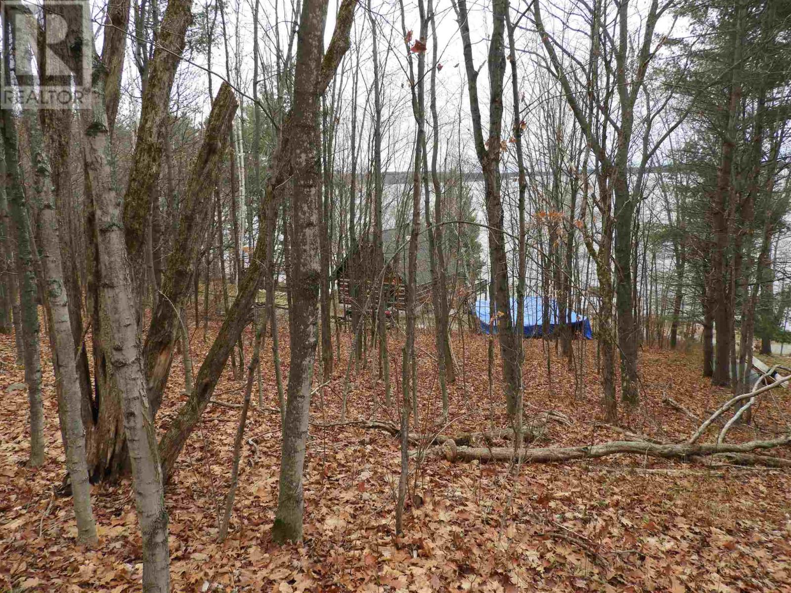 73 Gardiner St, Huron Shores, Ontario  P0R 1H0 - Photo 44 - SM251779