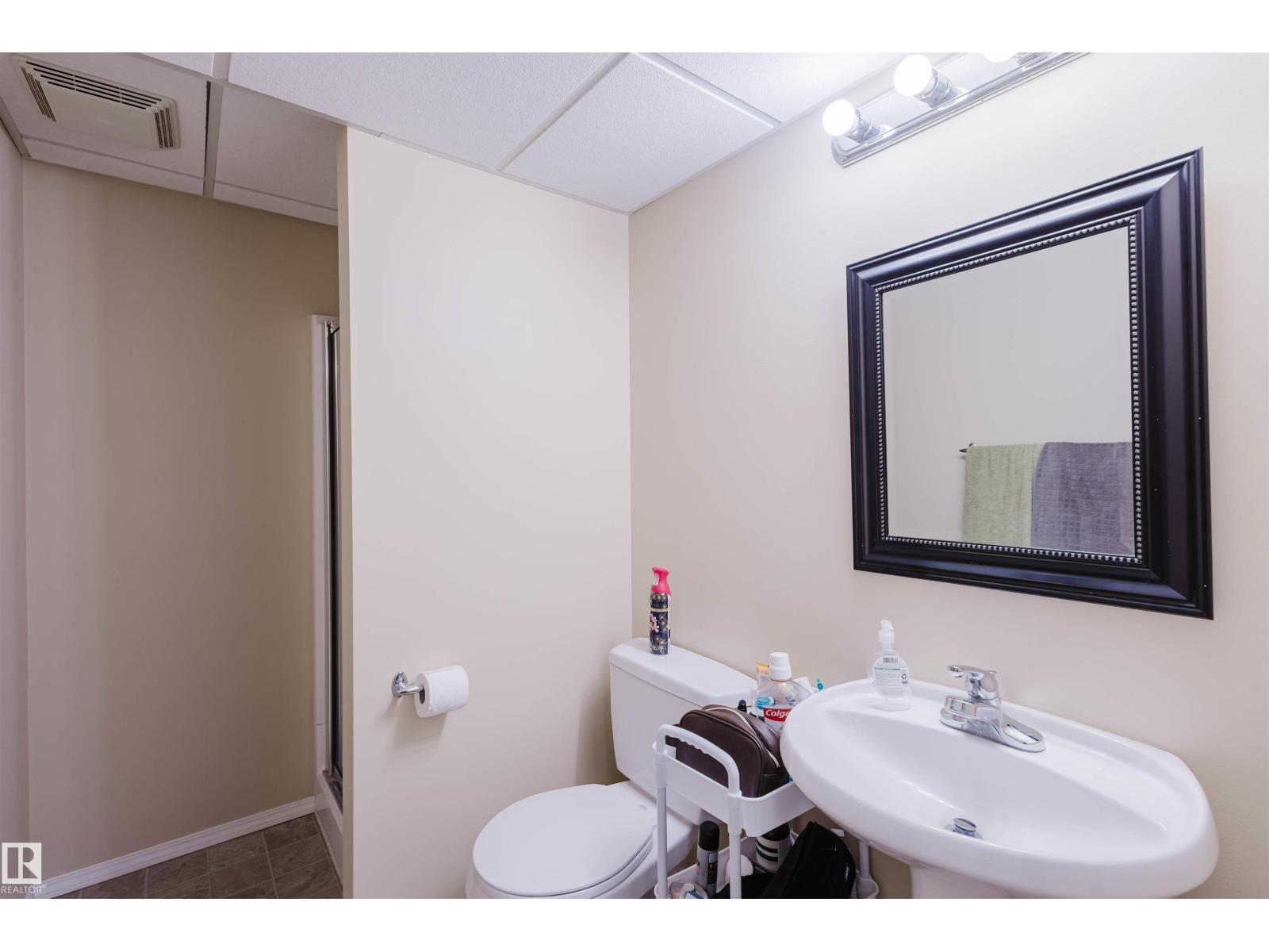 3032 Trelle Cr Nw, Edmonton, Alberta  T6R 3M8 - Photo 28 - E4451578
