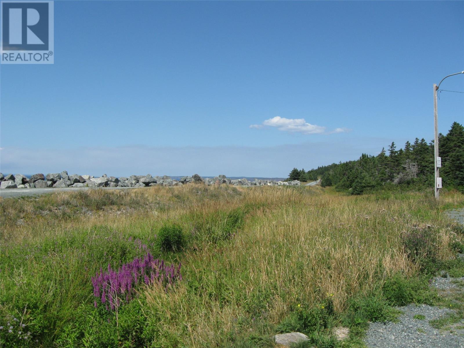 26 Doyles Road, Conception Bay South, Newfoundland & Labrador  A1X 4B6 - Photo 41 - 1288898