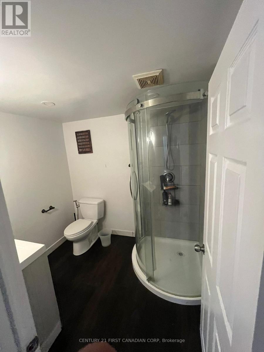 Basement - 952 Farnham Road W, London South, Ontario  N6K 1S1 - Photo 21 - X12324646