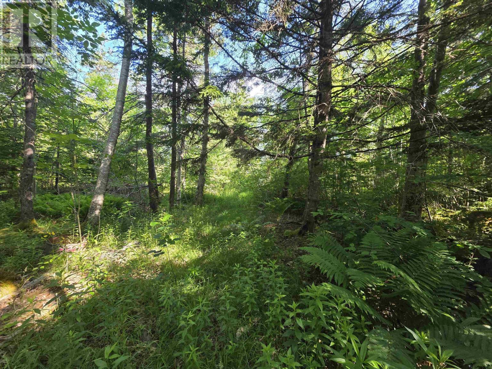 Lot A Highway 1, Upper Clements, Nova Scotia  B0S 1A0 - Photo 10 - 202516097