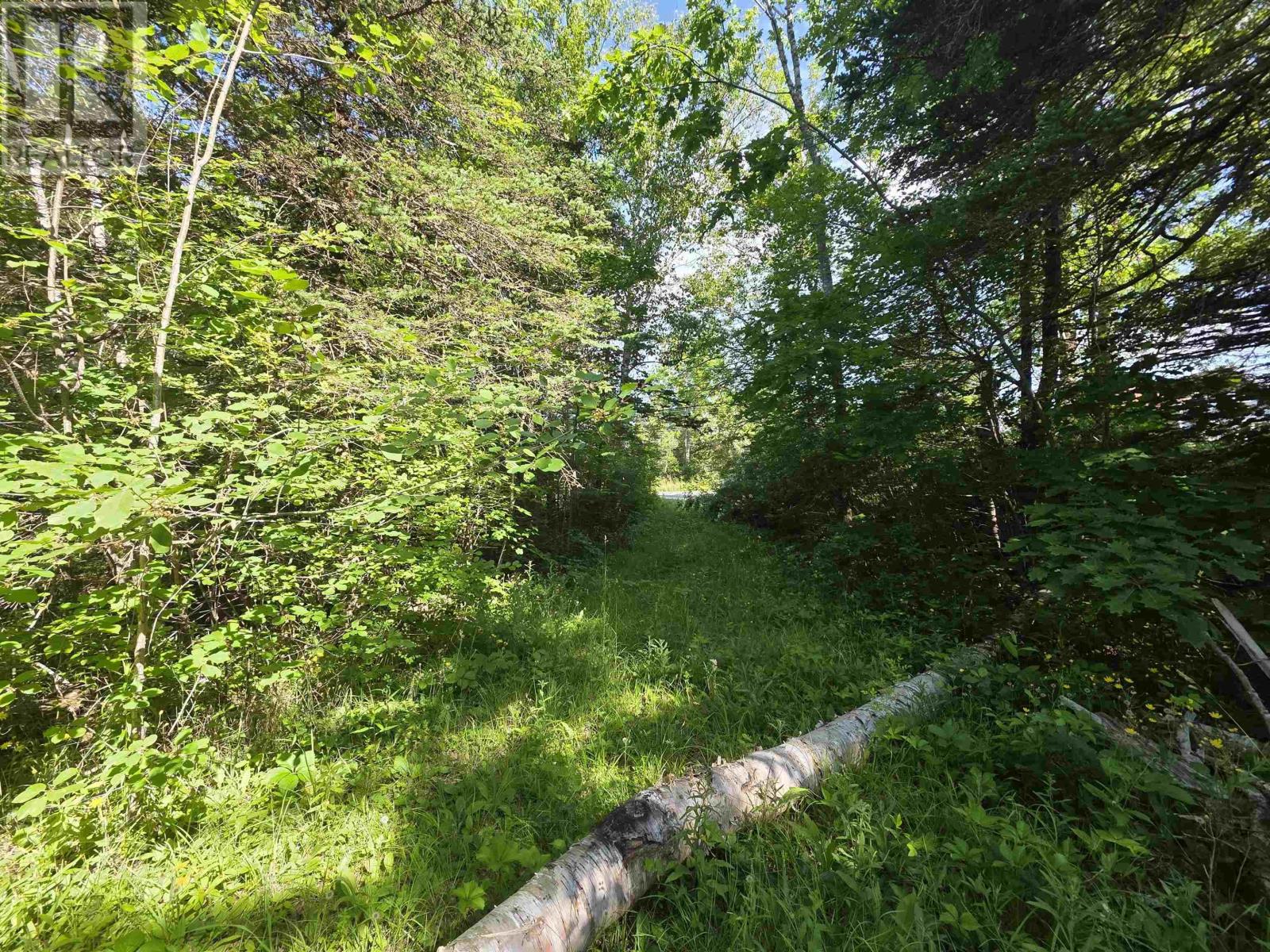 Lot A Highway 1, Upper Clements, Nova Scotia  B0S 1A0 - Photo 12 - 202516097