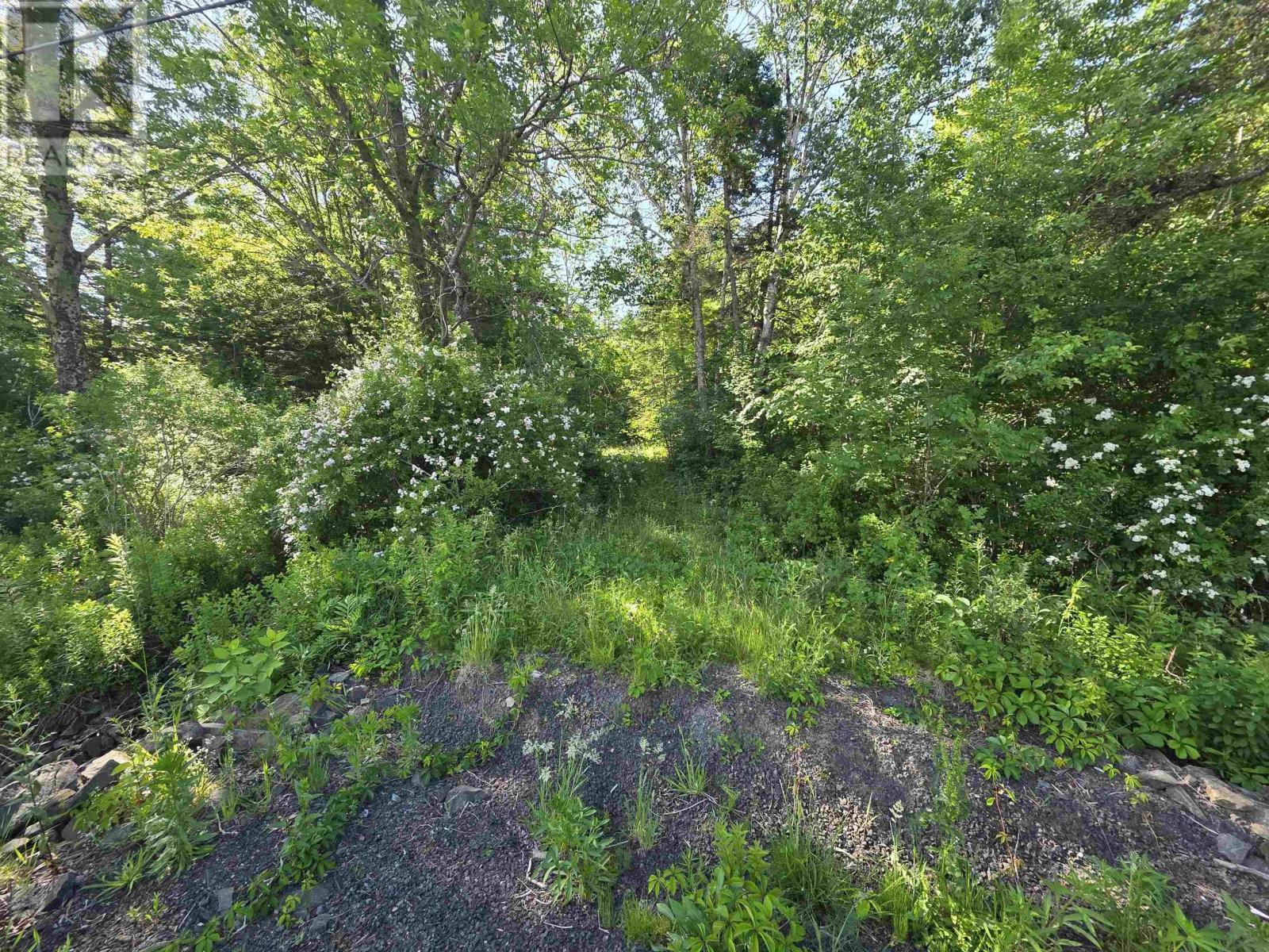 Lot A Highway 1, Upper Clements, Nova Scotia  B0S 1A0 - Photo 14 - 202516097