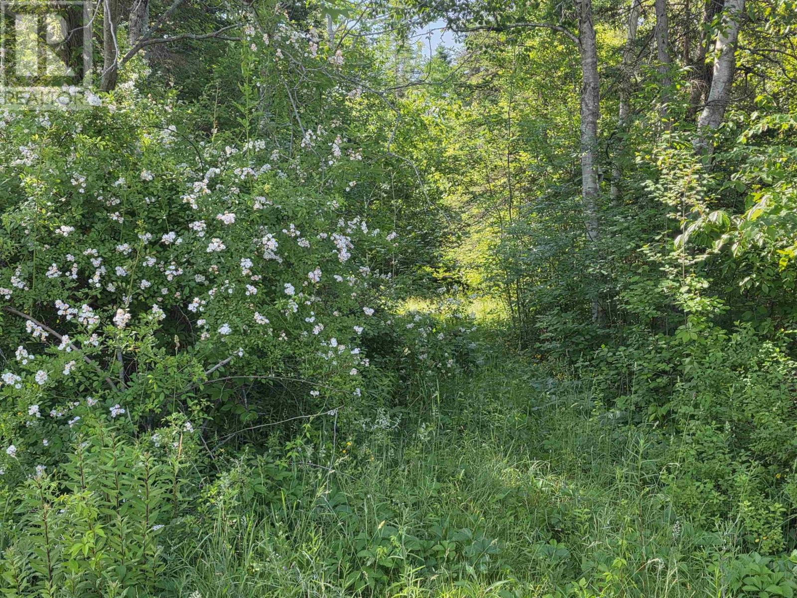 Lot A Highway 1, Upper Clements, Nova Scotia  B0S 1A0 - Photo 16 - 202516097