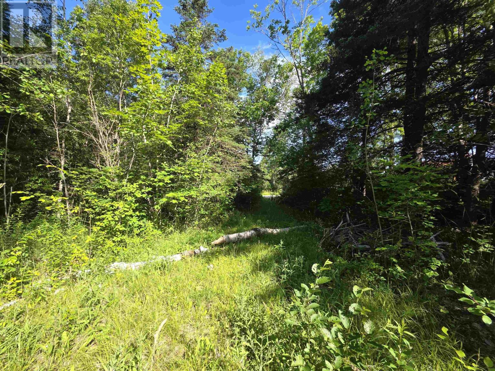 Lot A Highway 1, Upper Clements, Nova Scotia  B0S 1A0 - Photo 11 - 202516097