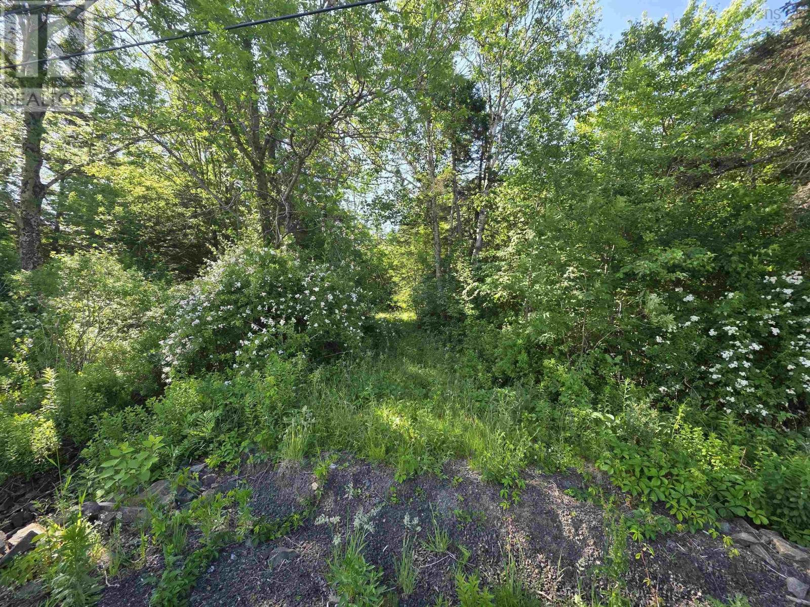 Lot A Highway 1, Upper Clements, Nova Scotia  B0S 1A0 - Photo 15 - 202516097