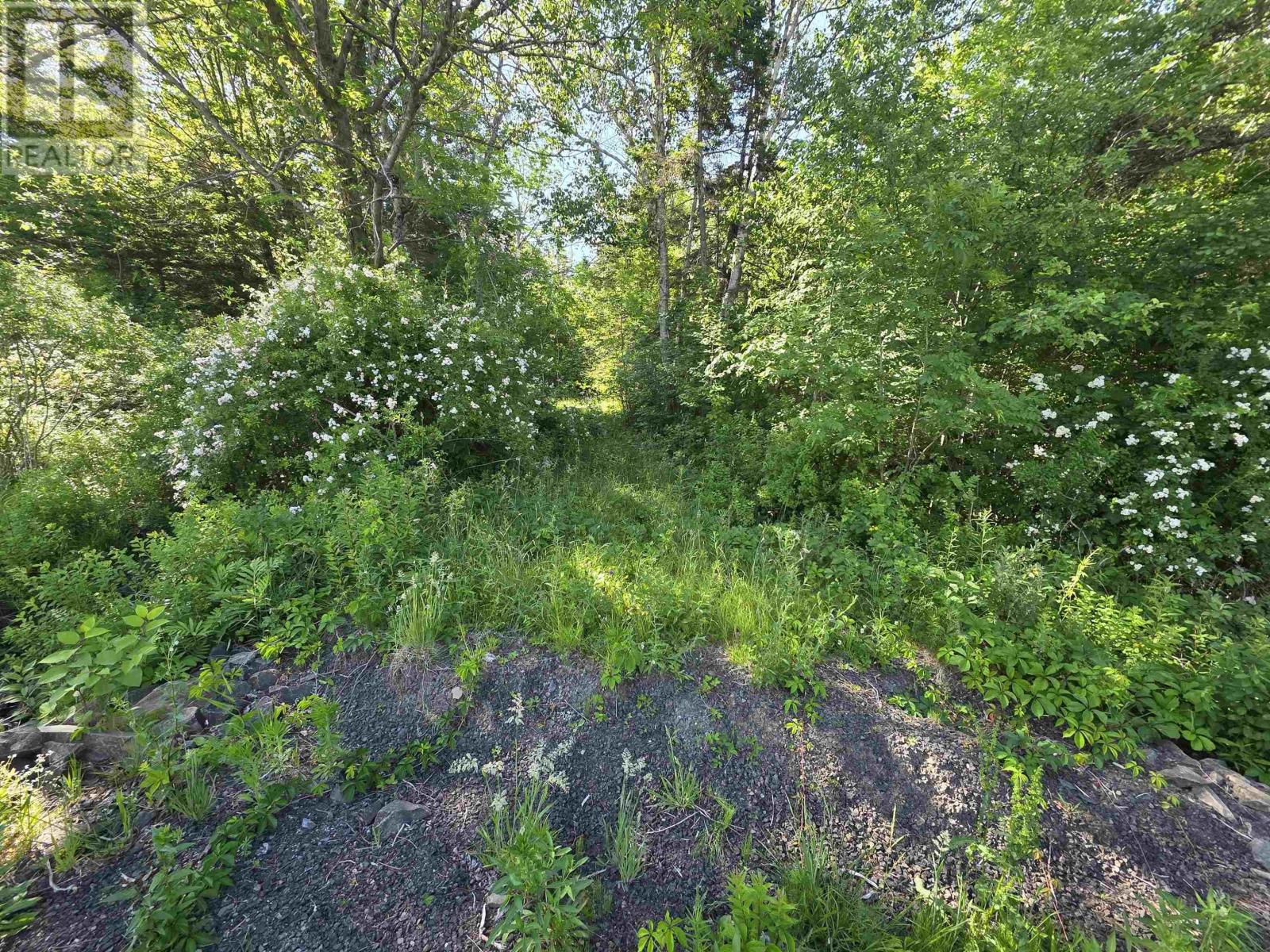Lot A Highway 1, Upper Clements, Nova Scotia  B0S 1A0 - Photo 13 - 202516097