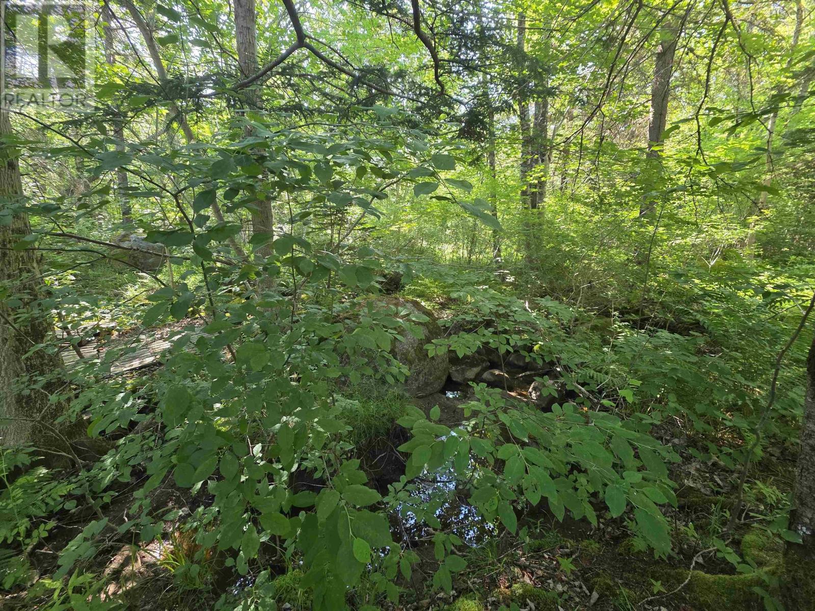 Lot A Highway 1, Upper Clements, Nova Scotia  B0S 1A0 - Photo 8 - 202516097